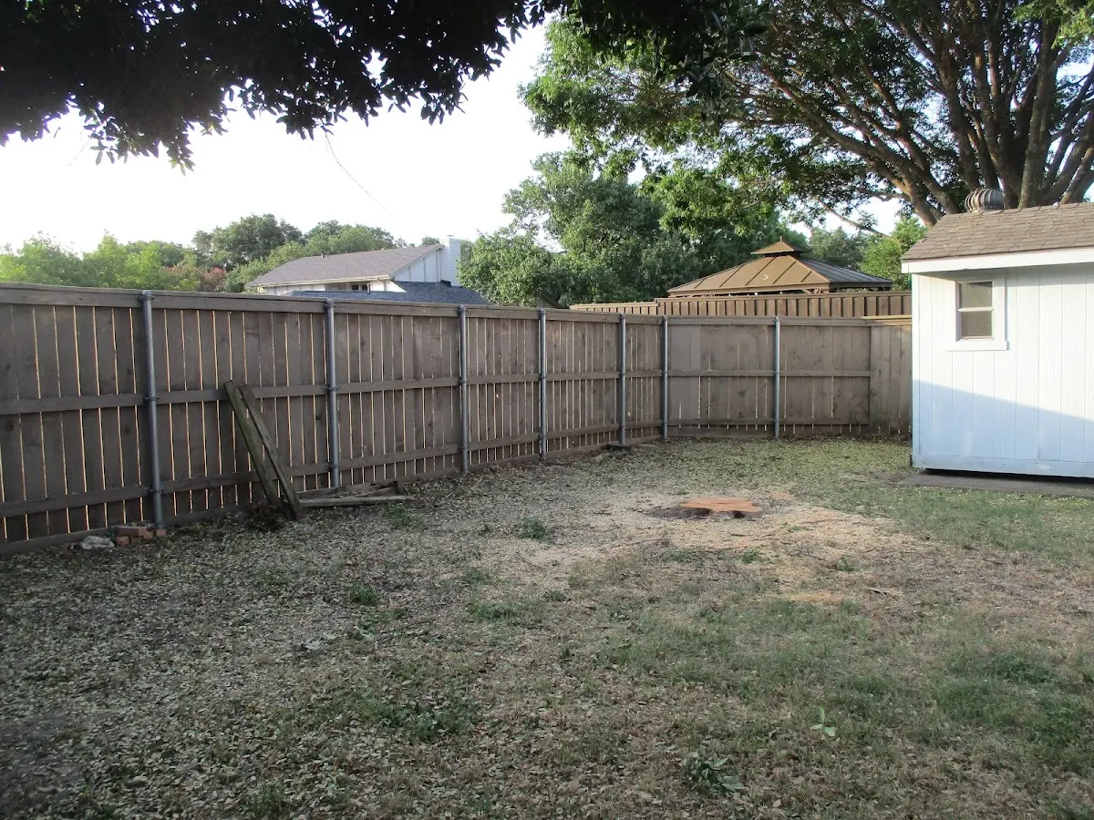 Cleared yard after professional tree removal in Metaline Falls